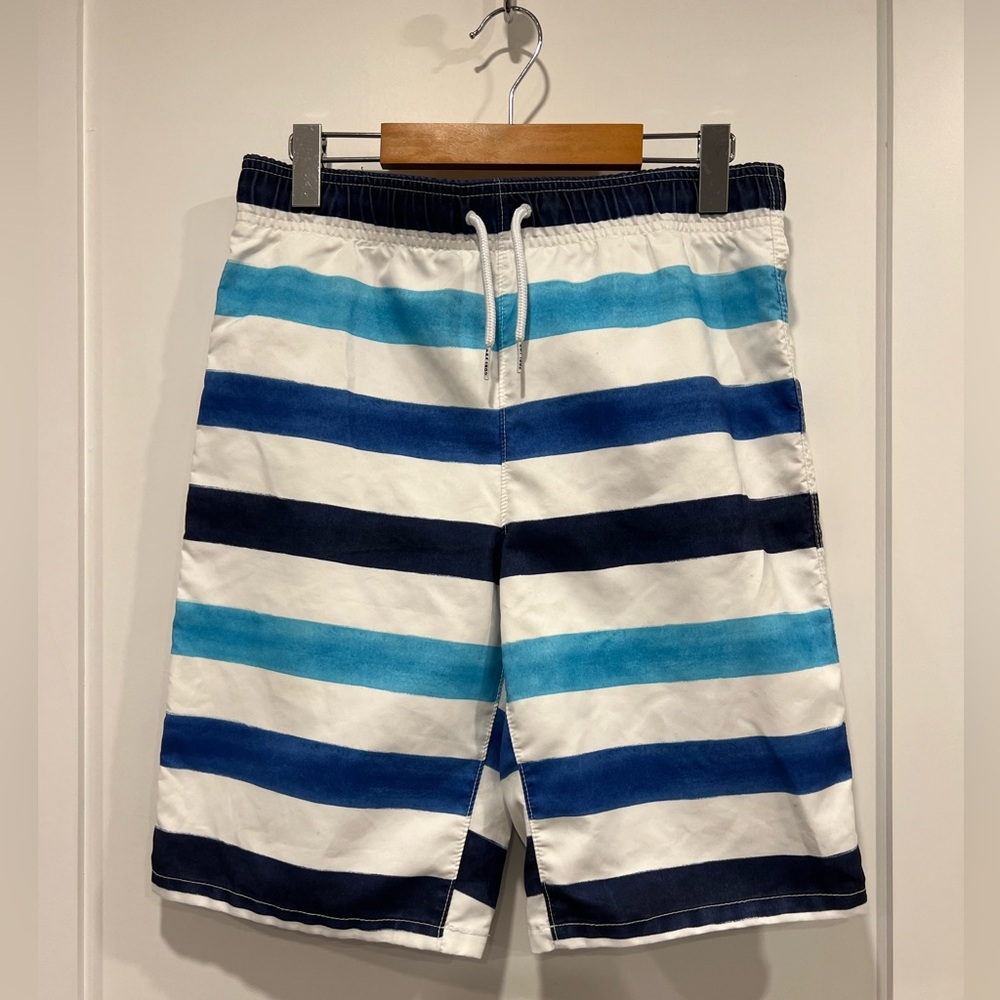 Abercrombie & Fitch Blue and White Striped Swim Trunks